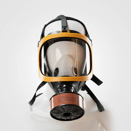 D025A Professional Protective Face Mask