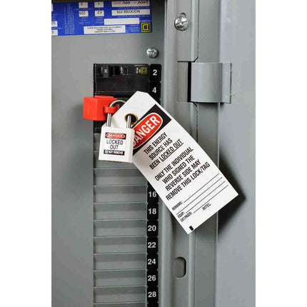 B30 Series Heavy Duty Polyester Tags