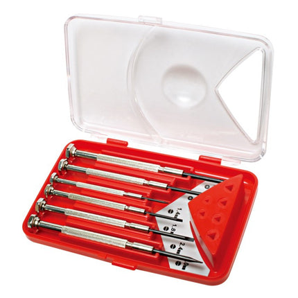 Precision Screwdriver Set(6pcs)