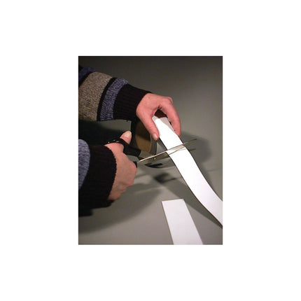 Blank Magnetic Strips