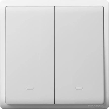 E8232L1F-LSSchneider Electricشنايدر بينو مفتاح 16AX 250V ثنائي