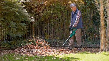 Cordless leaf blower | ALB 36 LI