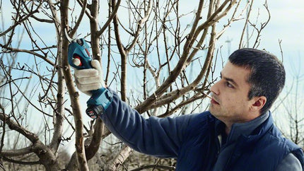 Cordless secateur | PRO PRUNER