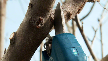 Cordless secateur | PRO PRUNER