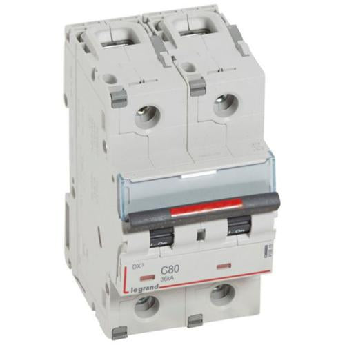 410015Legrandقاطع دارة Legrand DX3 ثنائي القطب 80A منحنى C