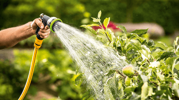 Cordless rainwater pumps | GardenPump 18V-2000