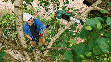 Cordless Telescopic Pruner | UniversalChainPole 18