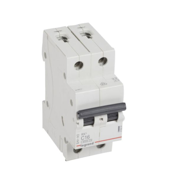 419224Legrandقاطع دارة Legrand RX3 ثنائي القطب 16A منحنى C