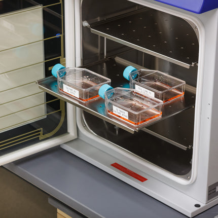 76 mm Core Polypropylene Autoclave and Liquid Nitrogen Labels with Vial Top