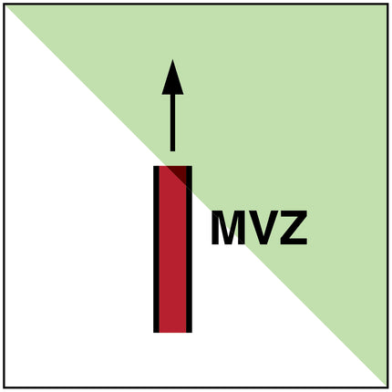 IMO  Main vertical zone