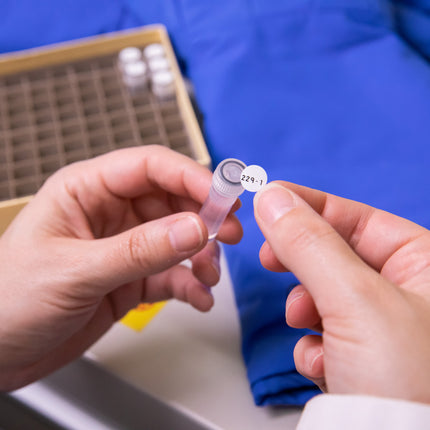 B33 Series Polyester Chemical Resistant Laboratory Labels