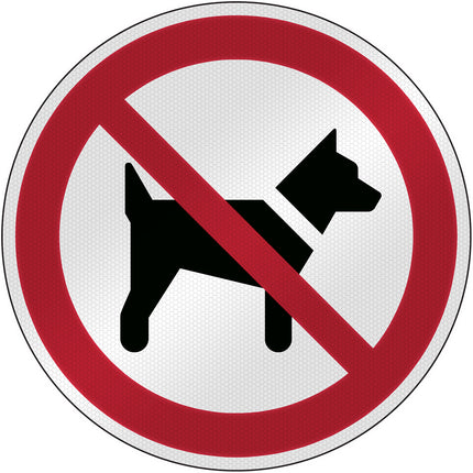 ISO Safety Sign  No dogs