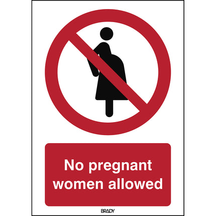 ISO Safety Sign  Not for pregnant women