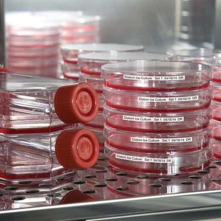 B33 Series Polyamide Coated Nylon Cloth Labels