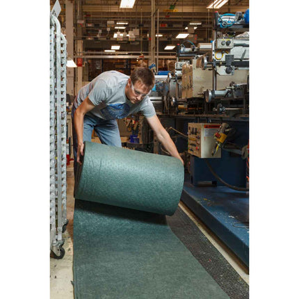 ReForm Plus Absorbent Roll