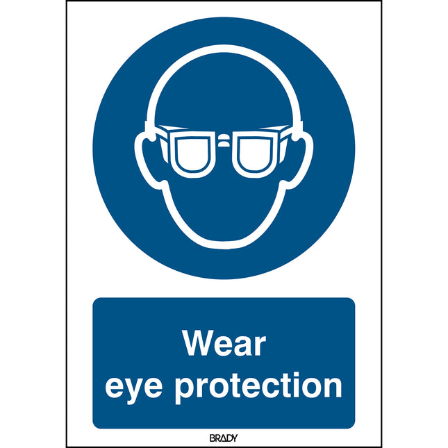 ISO Safety Sign  Wear eye protection