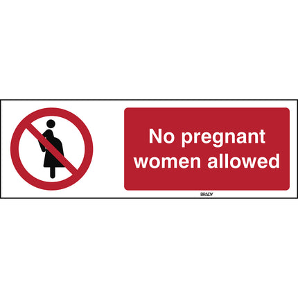 ISO Safety Sign  Not for pregnant women