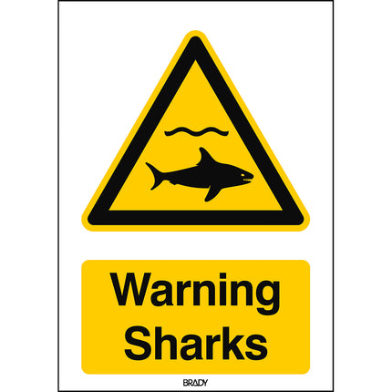 ISO Safety Sign  Warning Sharks