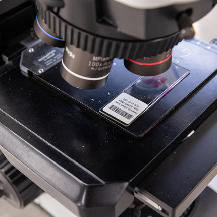 76 mm Core Matt White Polyester General Identification Labels