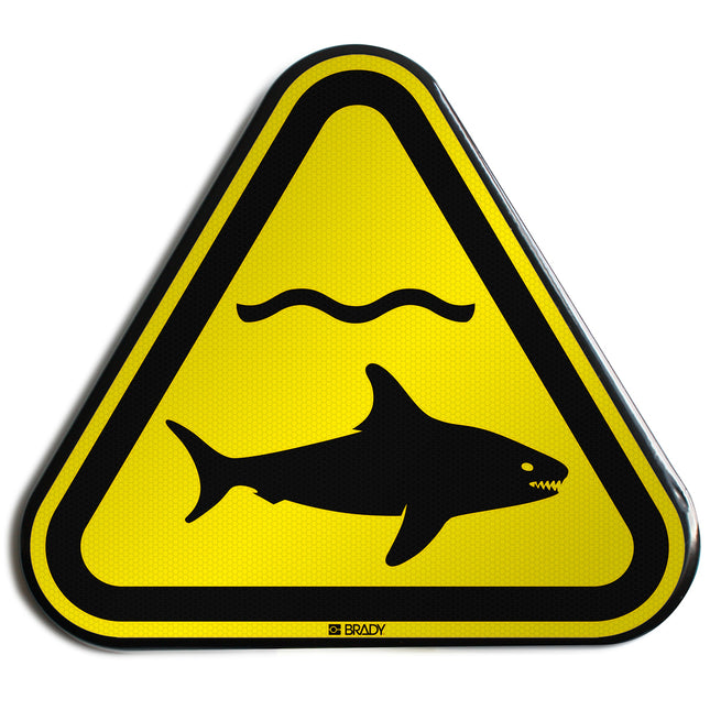 ISO Safety Sign  Warning Sharks