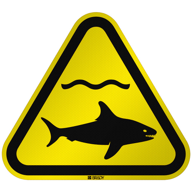 ISO Safety Sign  Warning Sharks
