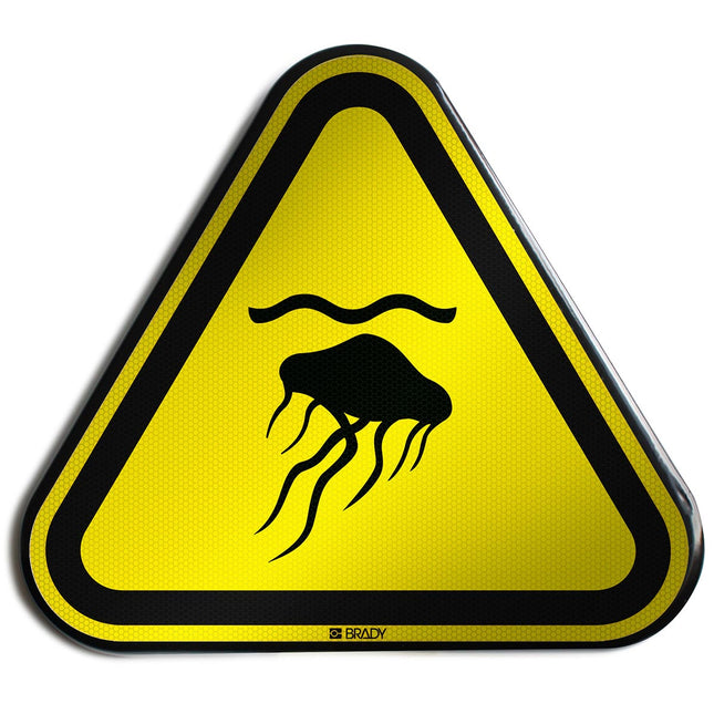 ISO Safety Sign  Warning Jellyfish