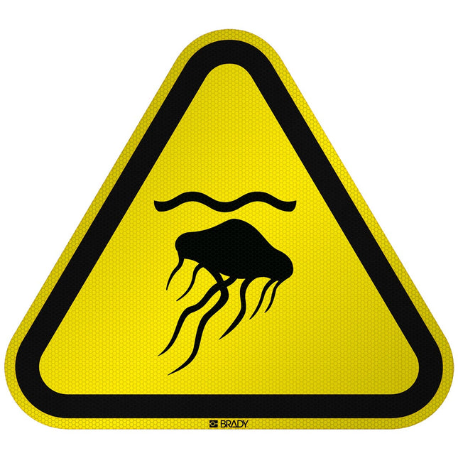 ISO Safety Sign  Warning Jellyfish