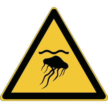 ISO Safety Sign  Warning Jellyfish