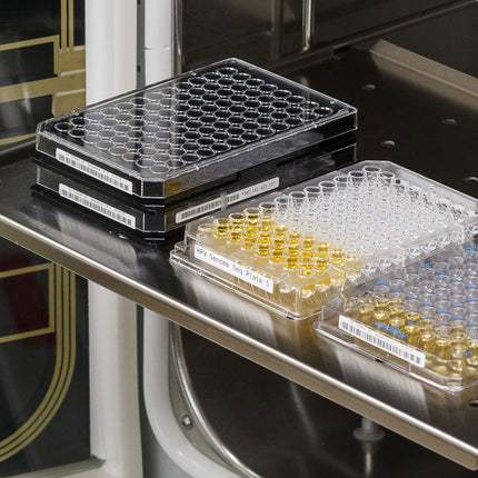 B33 Series Polyamide Coated Nylon Cloth Labels