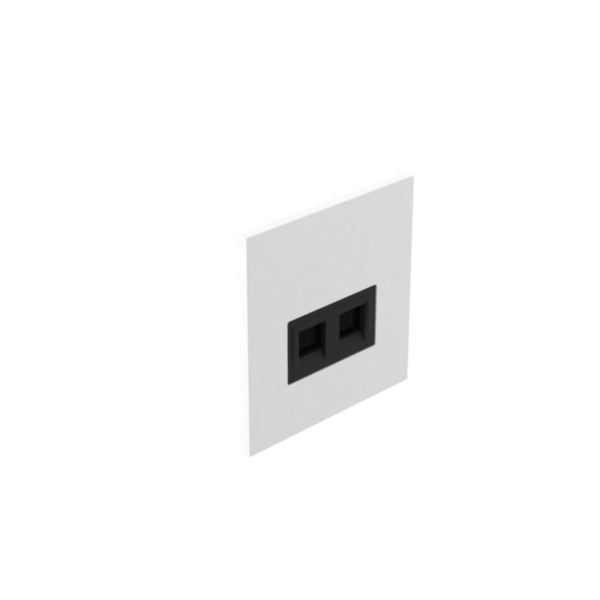 AR-68342Legrandمقبس Art d'Arnould RJ45 فئة 6 UTP وحدتان أبيض ساتان