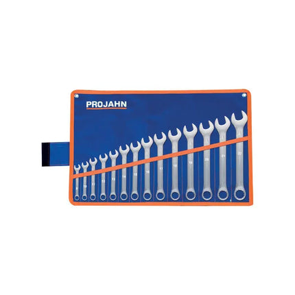 Projahn Wrench Set 14pcs 8-22mm in Bag