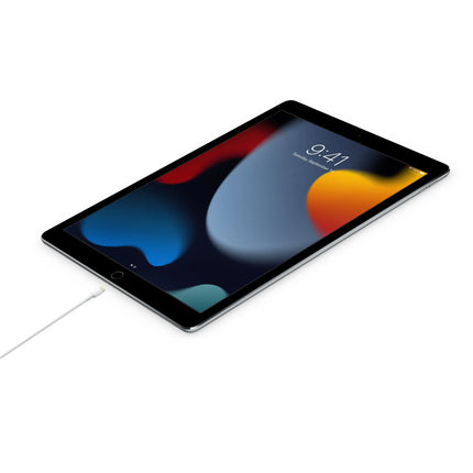 كابل أبل من USB-C إلى Lightning (1 متر)