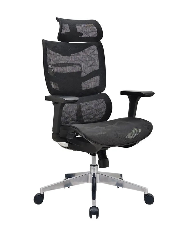 HIGHMOON Skid Ergonomic Chair Black | Multi Tilt Nylon Mesh Backrest
