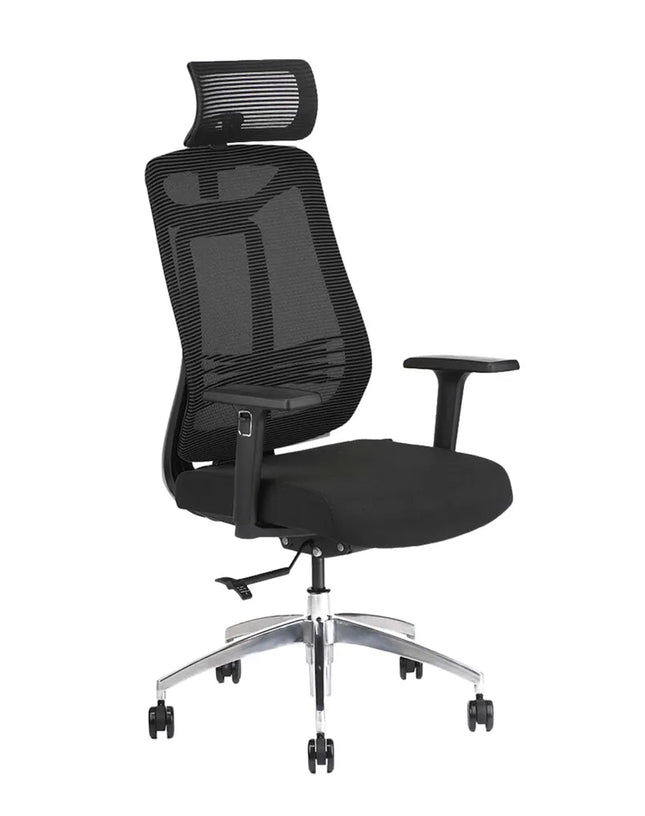 HIGHMOON Dom Ergonomic Chair | High Back Mesh Memory Foam Seat