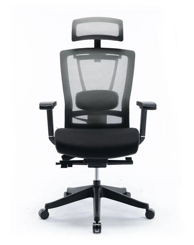 HIGHMOON Halo Ergonomic Chair | Adjustable Office Chair with Mesh Back & Cushion Seat