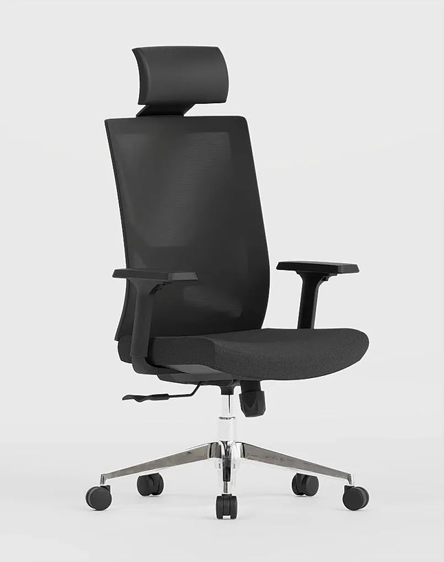 HIGHMOON Sick Ergonomic Chair | Executive Office Chair for Managers & Employees
