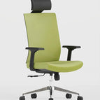 Black / Green