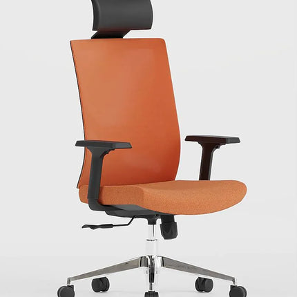 HIGHMOON Sick Ergonomic Chair | Executive Office Chair for Managers & Employees