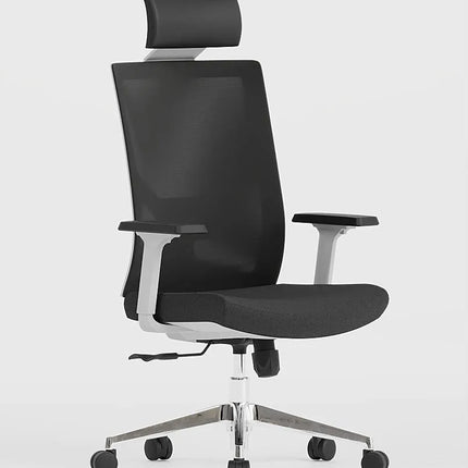 HIGHMOON Sick Ergonomic Chair | Executive Office Chair for Managers & Employees