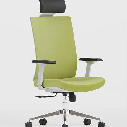 HIGHMOON Sick Ergonomic Chair | Executive Office Chair for Managers & Employees