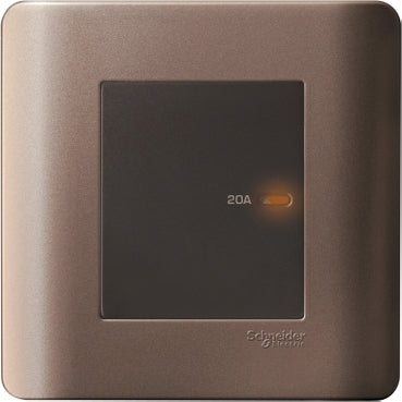 Schneider Electric 20A Double Pole Switch
