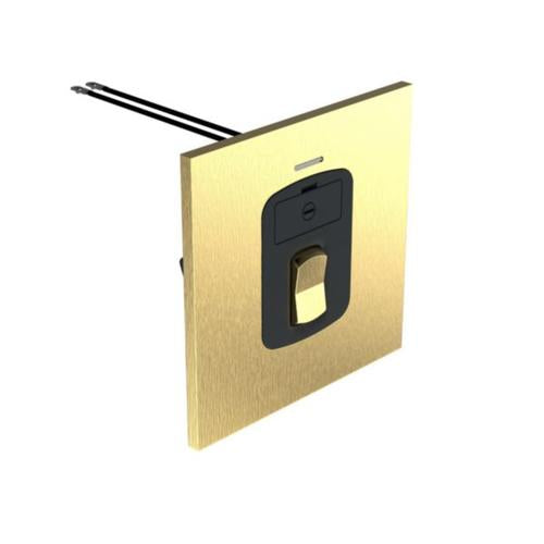 AR-68251Legrandوحدة اتصال مصهرة بـ 13 أمبير 250 فولت من Art d'Arnould ذهبي مصقول