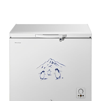 FC - 26DT4HisenseHisense Freezer - 205 LT