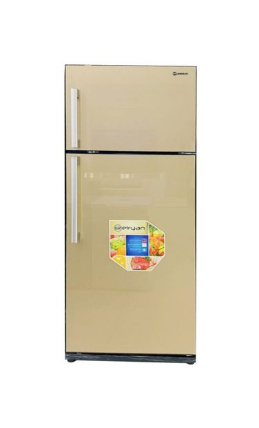 Elryan RF608LC - 17ft - Conventional Refrigerator - Glass Gold