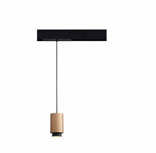 RANDA LED Pendant Lamp Gold  | Lighting | Toolmart